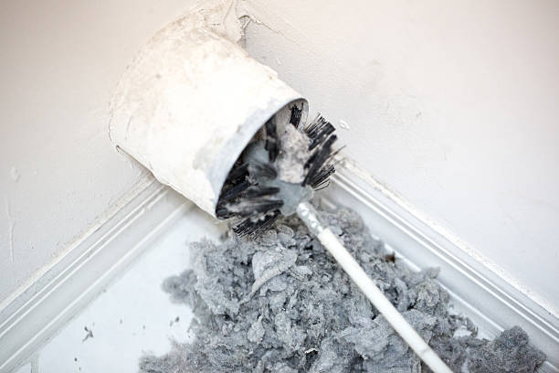 Best Home Air Vent Cleaning  in Lake Ridge, VA